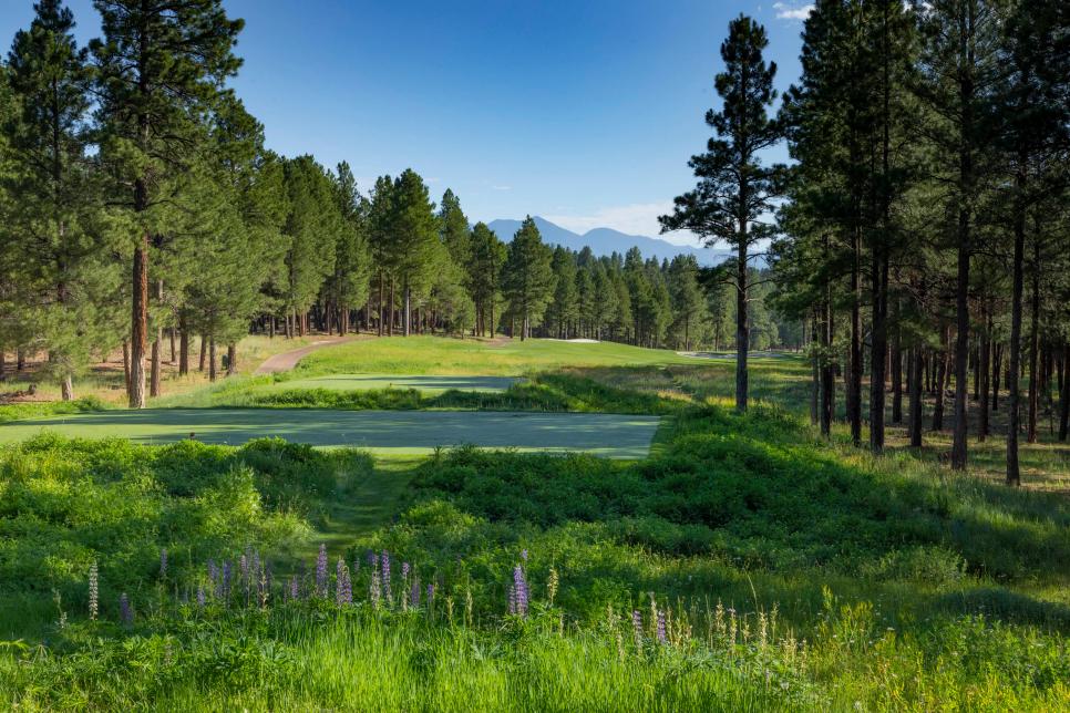 Forest Highlands Golf Club Meadow Courses